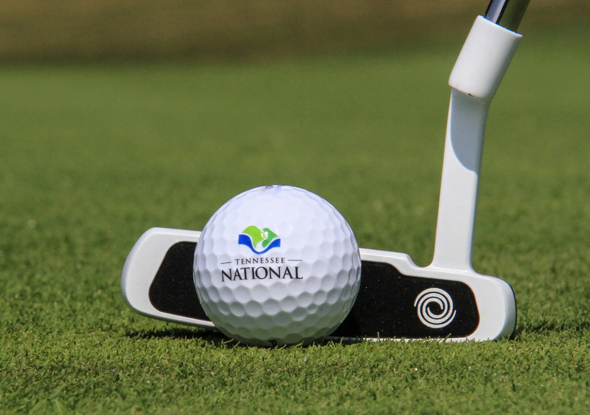 Birdie Bag Wednesdays